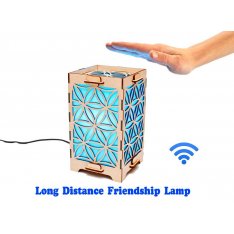 Long Distance Lamp with Daisy petals