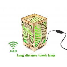 Long Distance Lamp with Palm Leaves