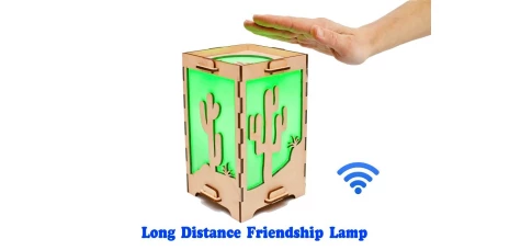 Long Distance Lamp with Cactus