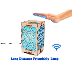 Long Distance Lamp with Daisy petals Long Distance Lamp with Daisy petals