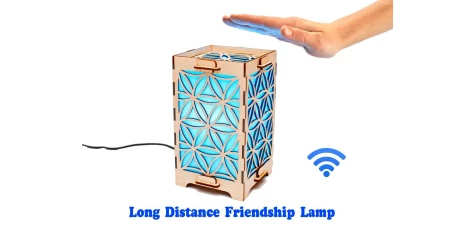 Long Distance Lamp with Daisy petals