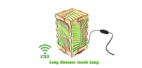 Long Distance Lamp with Palm Leaves